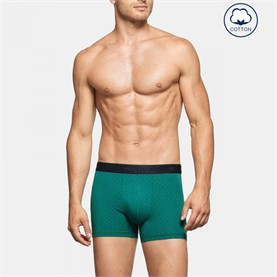 Calzoncillos Boxer Impetus Pack 2 Crooked P220G49 verde